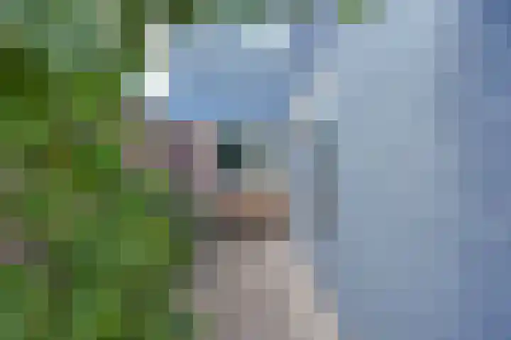 Loswal 19 Kortgene thumbnail 34