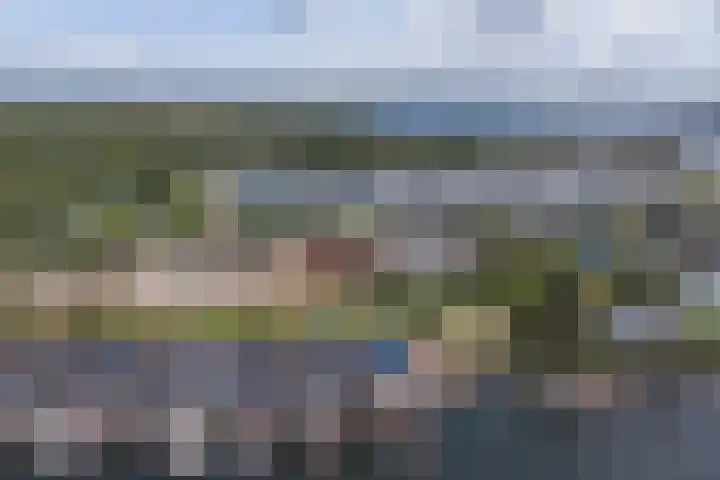 Loswal 19 Kortgene thumbnail 36