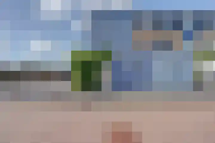 Loswal 19 Kortgene thumbnail 37
