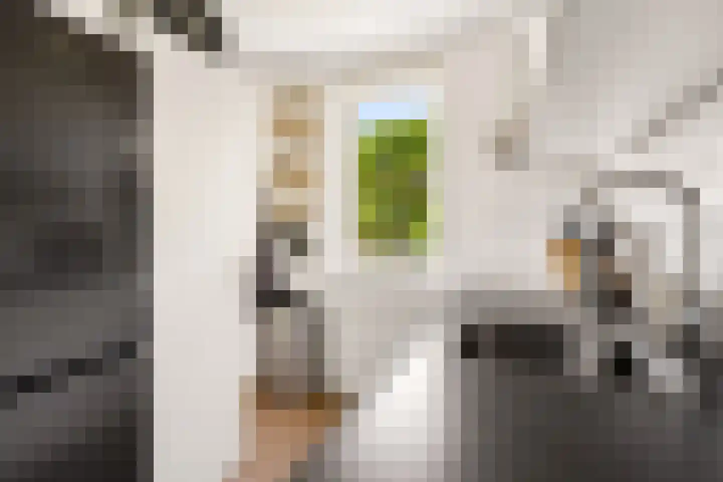 Loswal 37 Huizen thumbnail 21