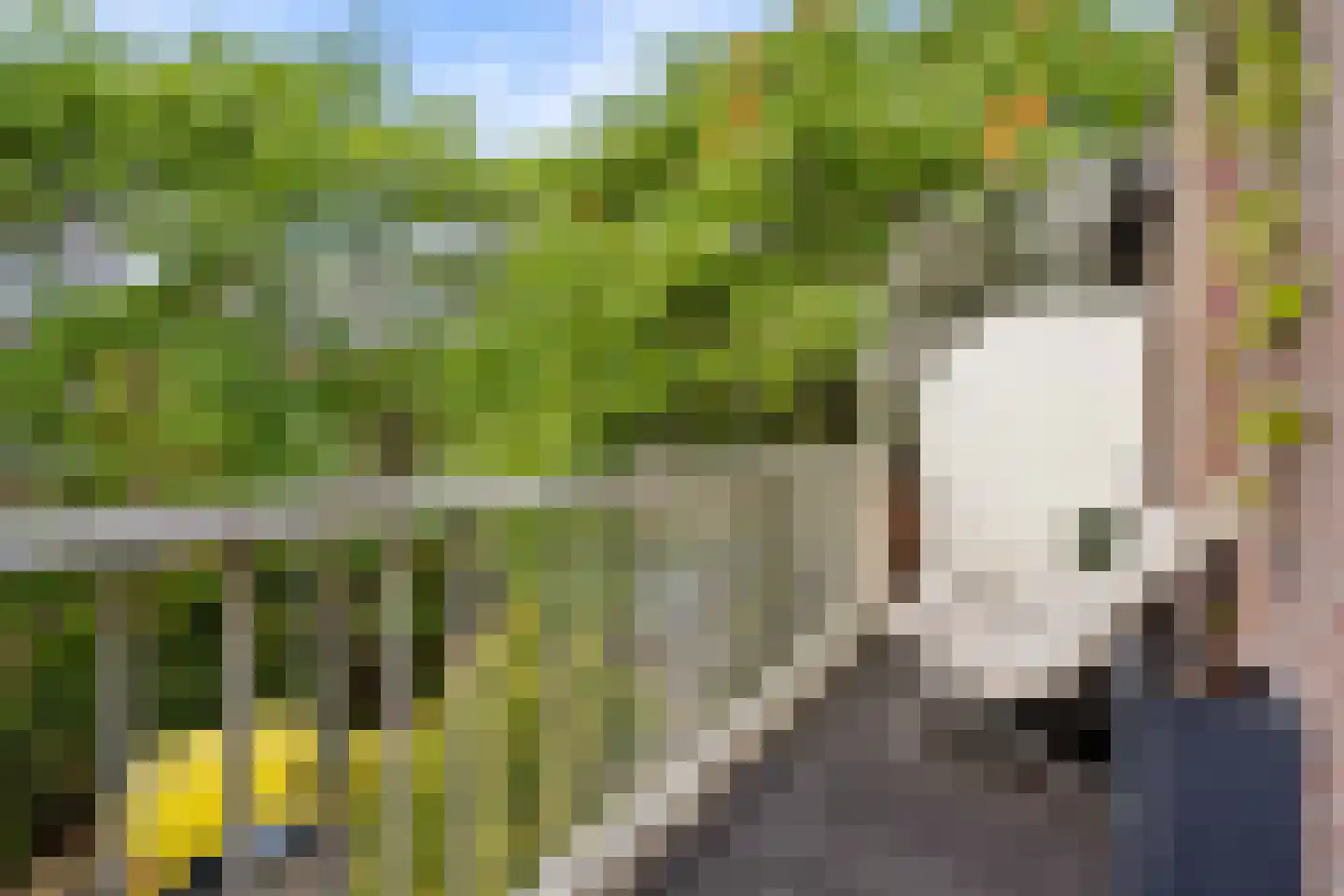 Loswal 37 Huizen thumbnail 23