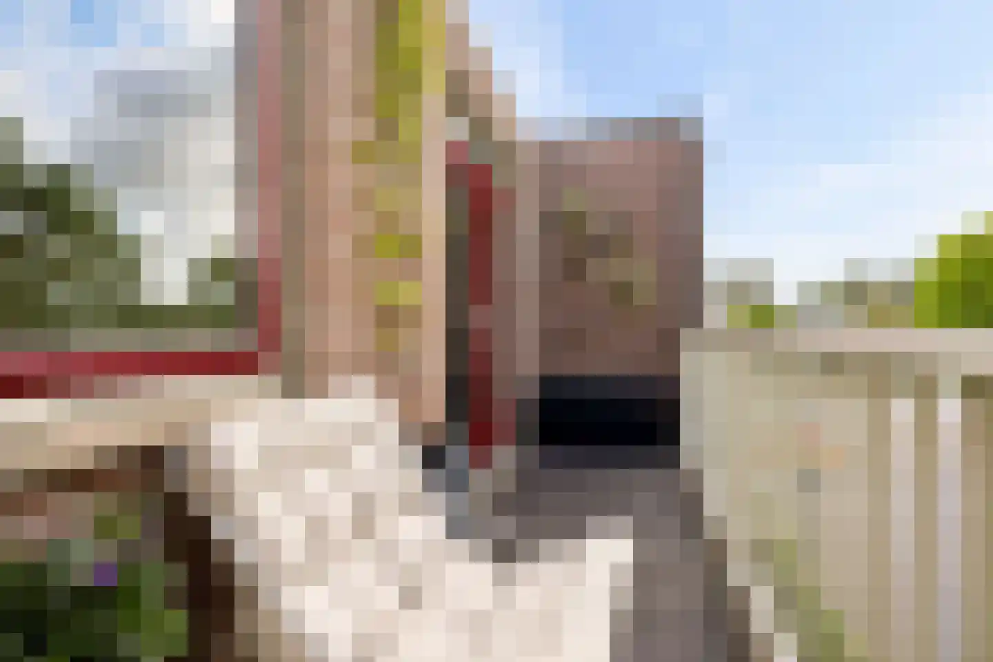 Loswal 37 Huizen thumbnail 24