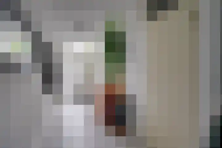 Loswal 5 Vleuten thumbnail 10
