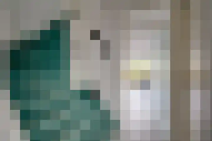Loswal 5 Vleuten thumbnail 12