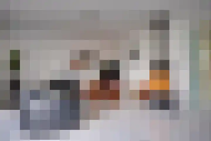 Loswal 5 Vleuten thumbnail 17
