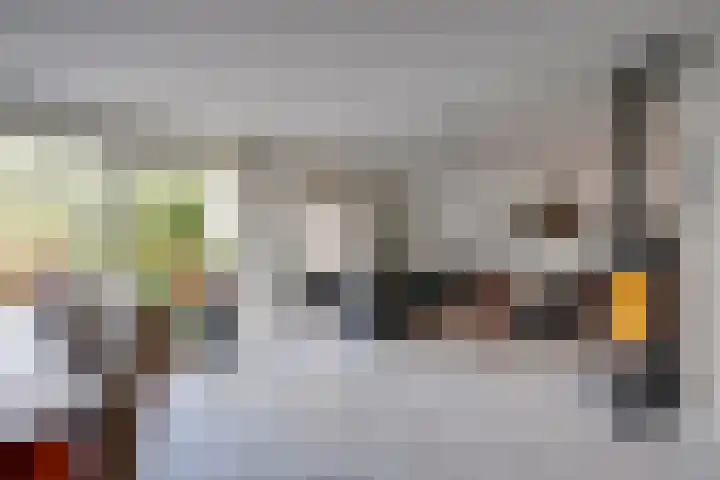 Loswal 5 Vleuten thumbnail 18