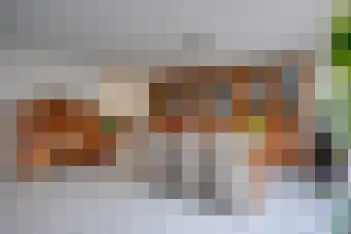 Loswal 5 Vleuten thumbnail 20