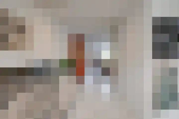 Loswal 5 Vleuten thumbnail 25