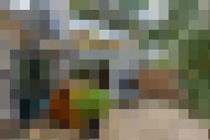 Loswal 5 Vleuten thumbnail 26