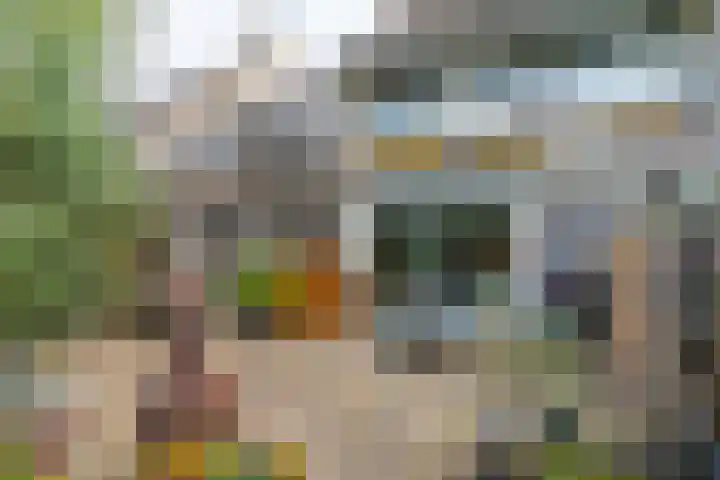 Loswal 5 Vleuten thumbnail 27