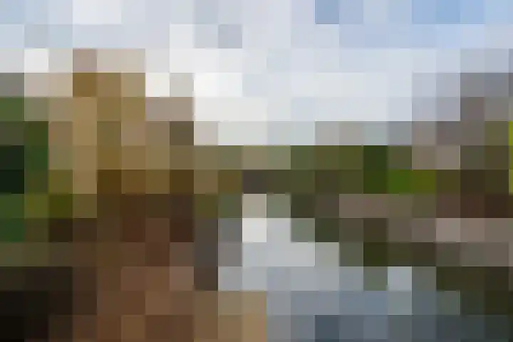 Loswal 5 Vleuten thumbnail 30