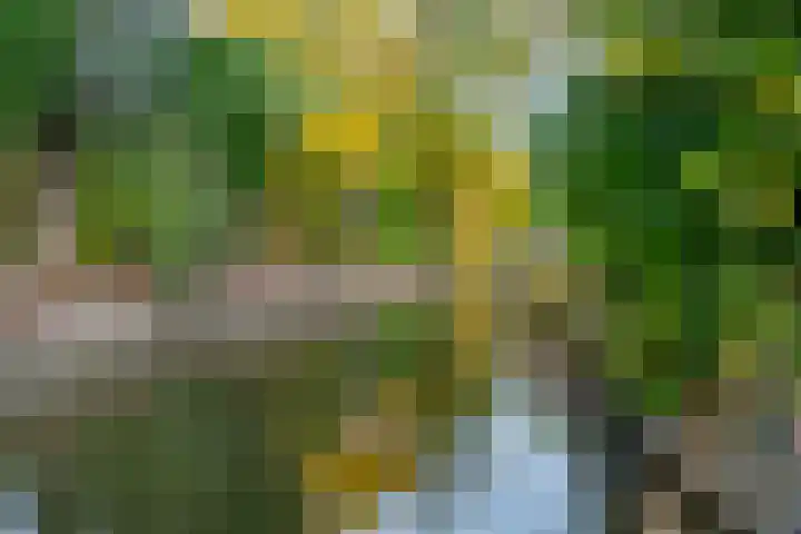 Loswal 5 Vleuten thumbnail 31