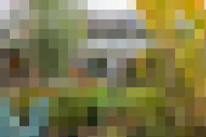 Loswal 5 Vleuten thumbnail 32
