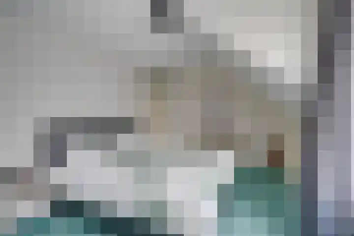 Loswal 5 Vleuten thumbnail 36