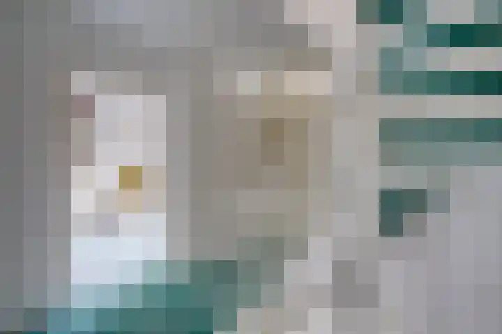 Loswal 5 Vleuten thumbnail 39