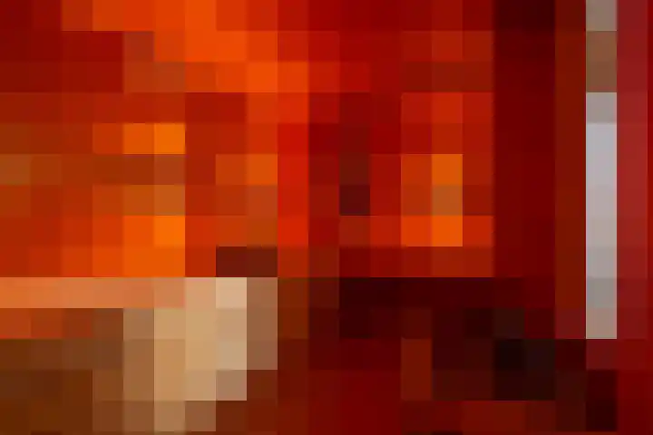 Loswal 5 Vleuten thumbnail 4