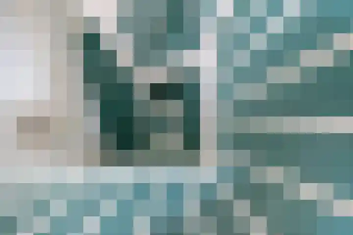Loswal 5 Vleuten thumbnail 46