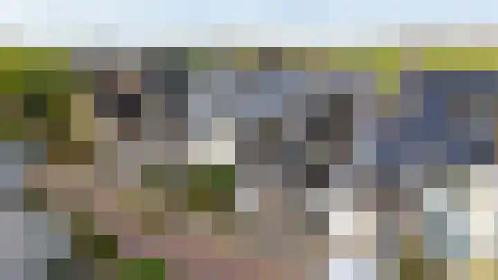 Loswal 5 Vleuten thumbnail 5