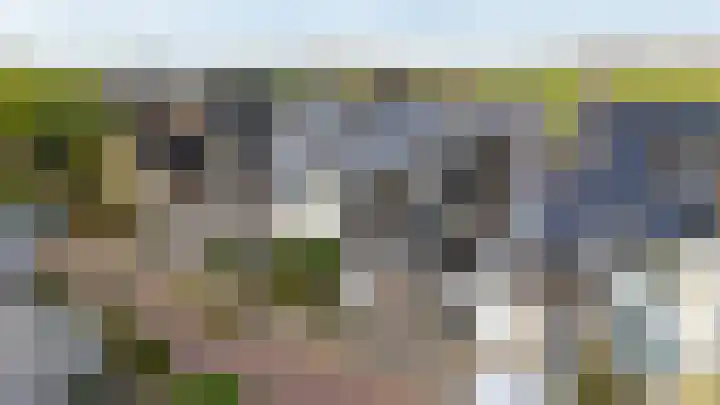 Loswal 5 Vleuten thumbnail 54
