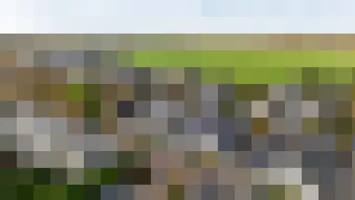 Loswal 5 Vleuten thumbnail 55