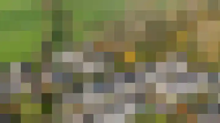 Loswal 5 Vleuten thumbnail 57