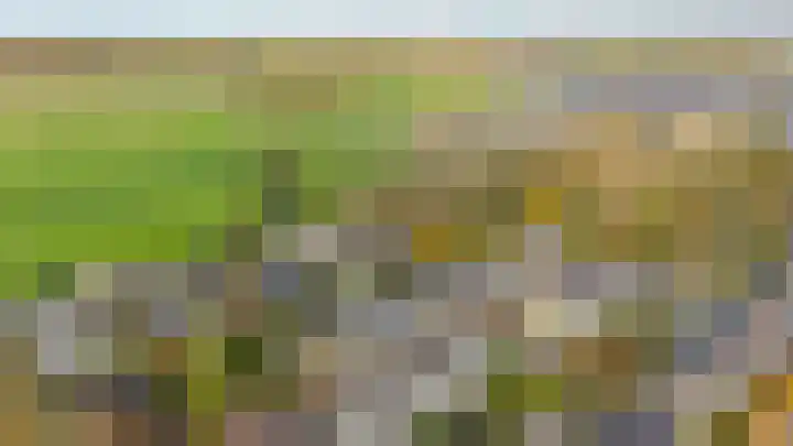 Loswal 5 Vleuten thumbnail 6
