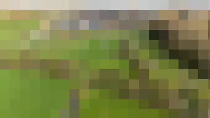 Loswal 5 Vleuten thumbnail 60