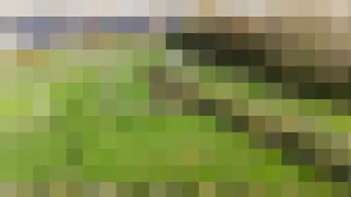 Loswal 5 Vleuten thumbnail 61