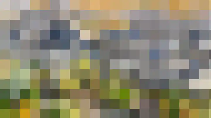 Loswal 5 Vleuten thumbnail 64