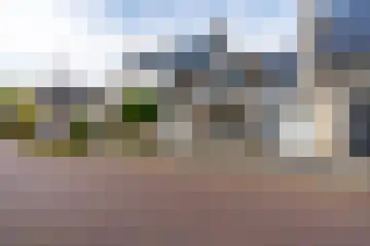 Loswal 5 Vleuten thumbnail 7