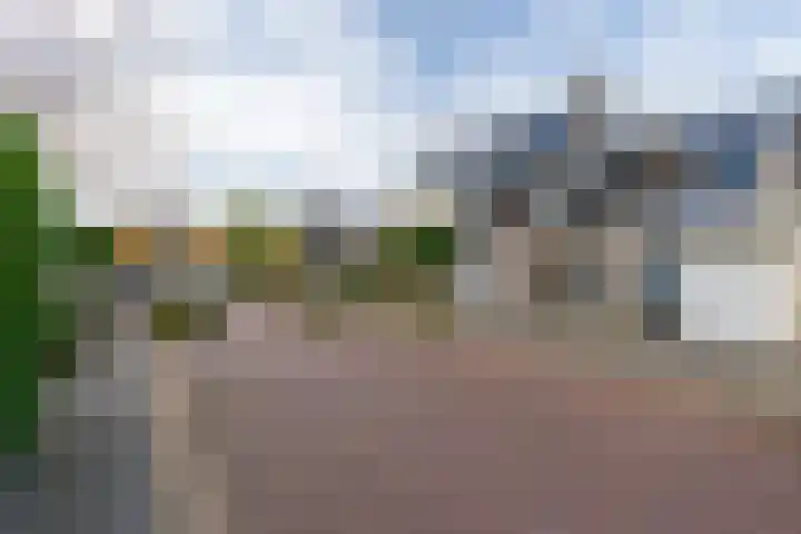 Loswal 5 Vleuten thumbnail 8