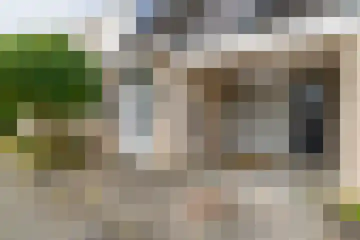 Loswal 5 Vleuten thumbnail 9