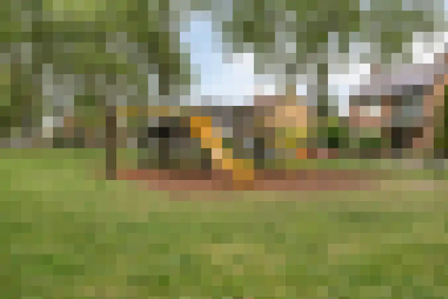Lotharingen 18 Steenbergen thumbnail 38