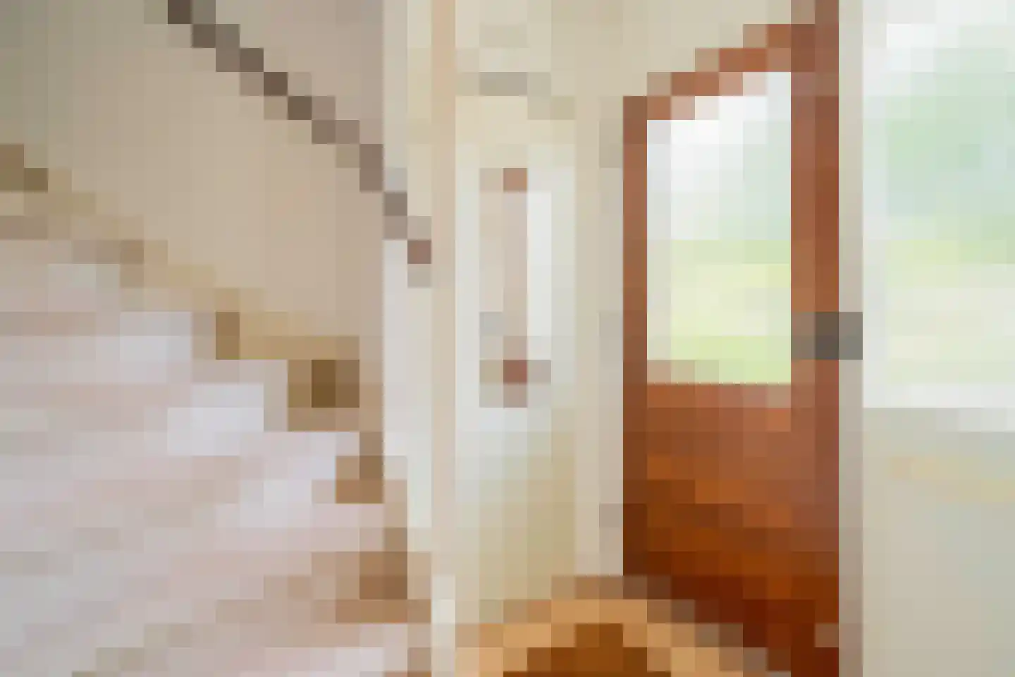 Lotharingenweg 15 Alkmaar thumbnail 12