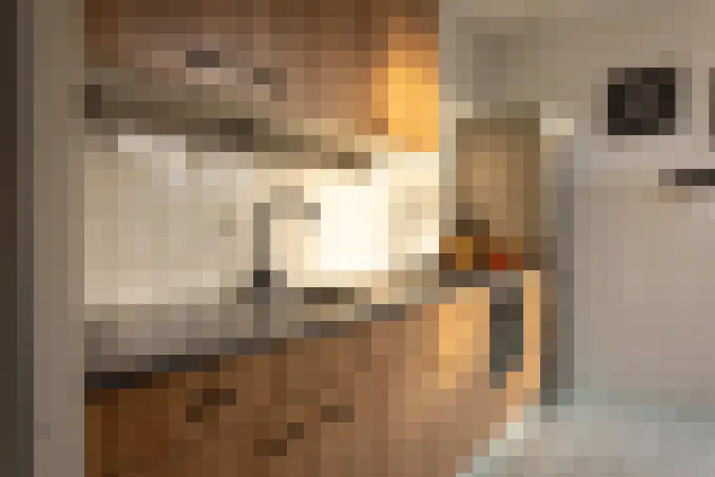 Lotharingenweg 72 Alkmaar thumbnail 12