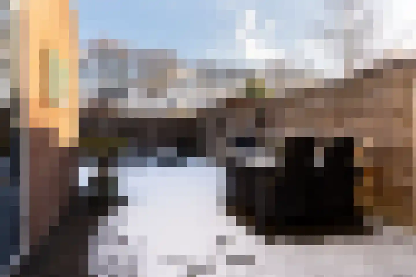 Lotharingenweg 72 Alkmaar thumbnail 26