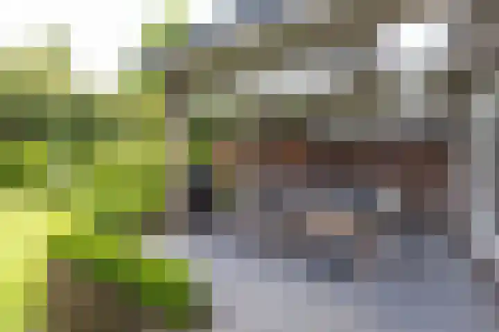Lothariuslaan 113 Bussum thumbnail 21