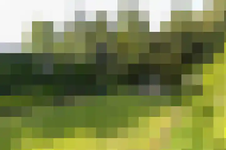 Lothariuslaan 113 Bussum thumbnail 23