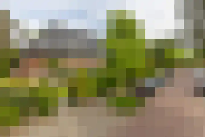 Lothariuslaan 113 Bussum thumbnail 57