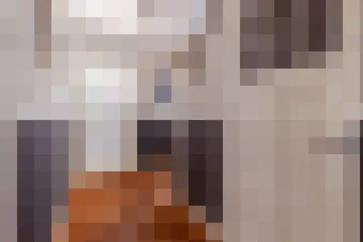 Lothariuslaan 113 Bussum thumbnail 7