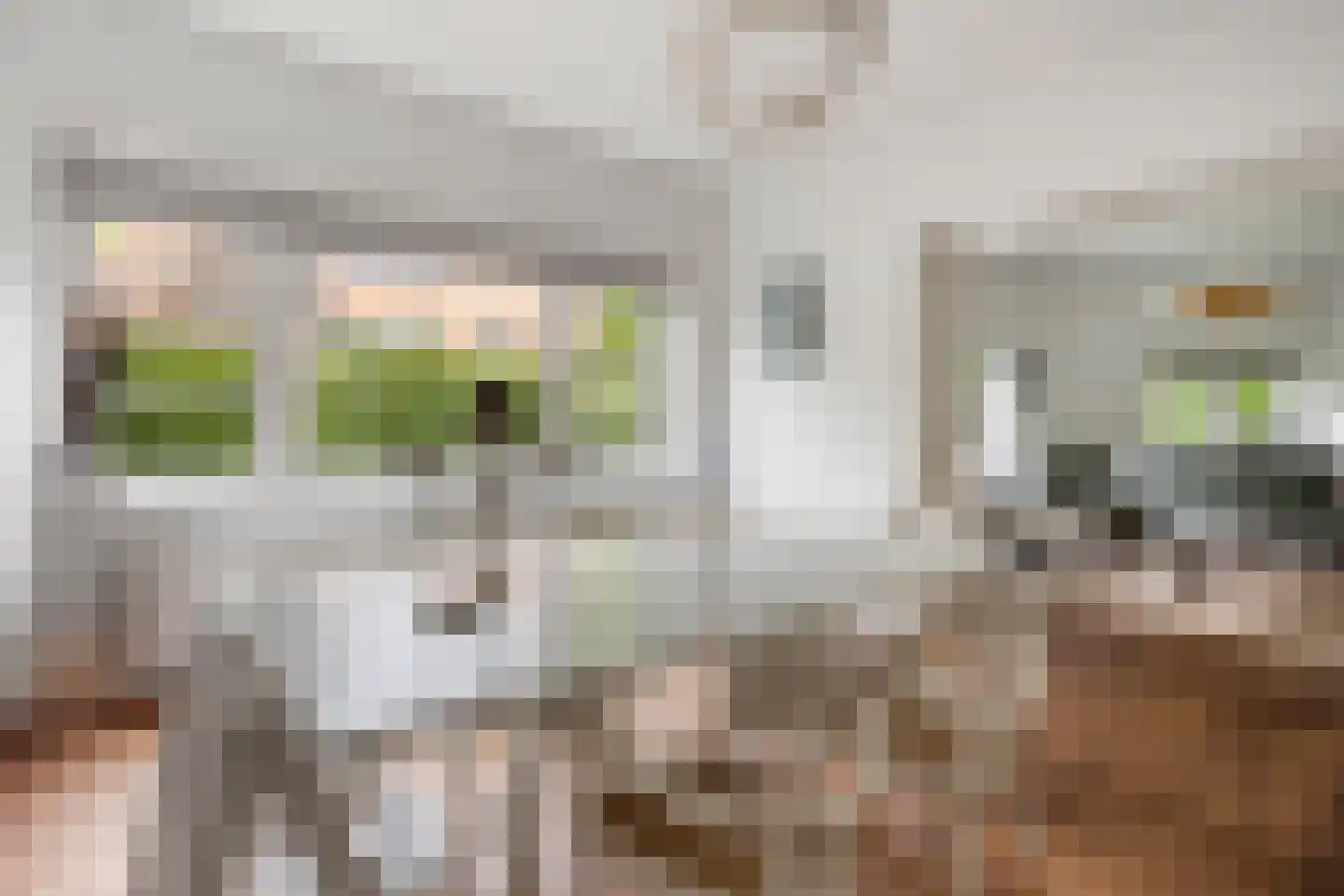 Lothariuslaan 26 Bussum thumbnail 12