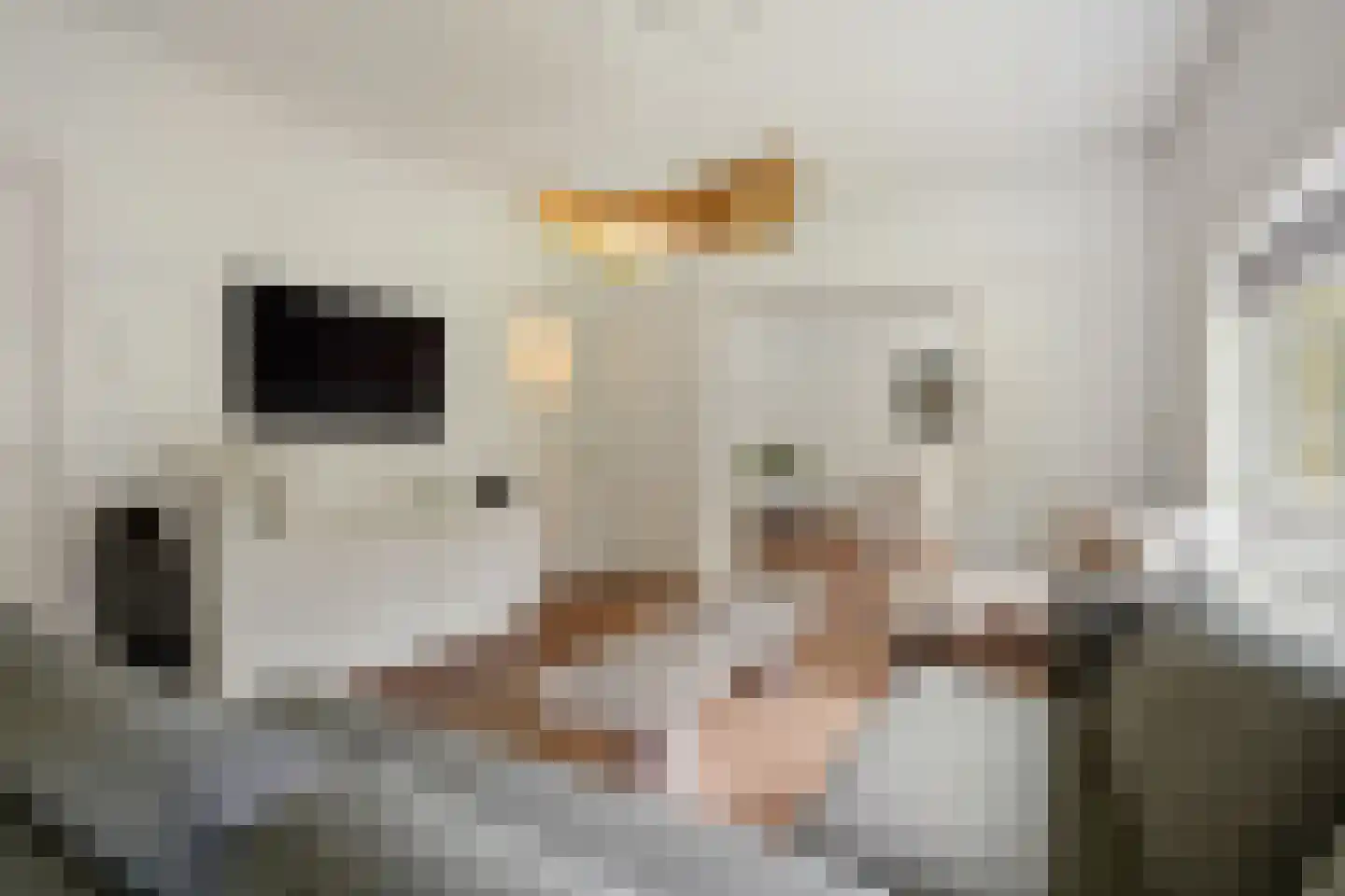 Lothariuslaan 26 Bussum thumbnail 7
