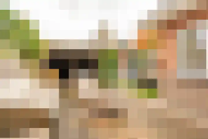 Lothariuslaan 58 Bussum thumbnail 19