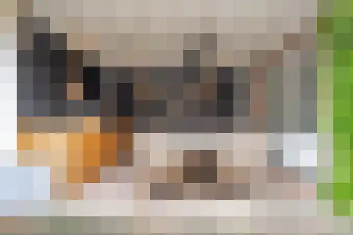 Lothariuslaan 58 Bussum thumbnail 20