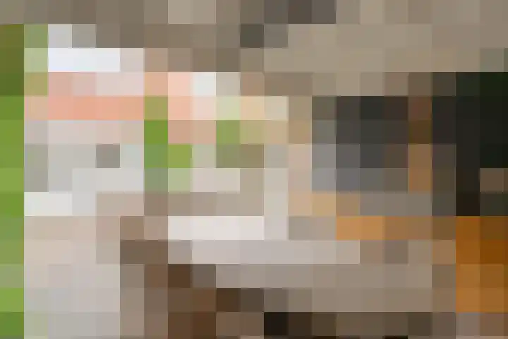 Lothariuslaan 58 Bussum thumbnail 21