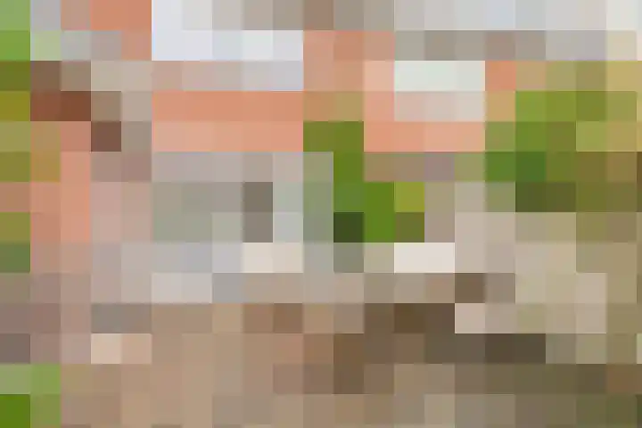 Lothariuslaan 58 Bussum thumbnail 22