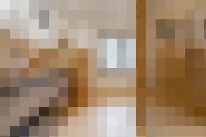 Lothariuslaan 58 Bussum thumbnail 32