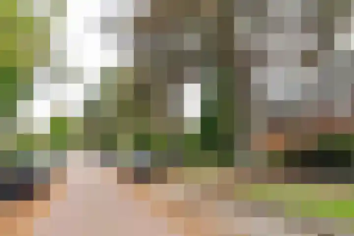 Lothariuslaan 58 Bussum thumbnail 47