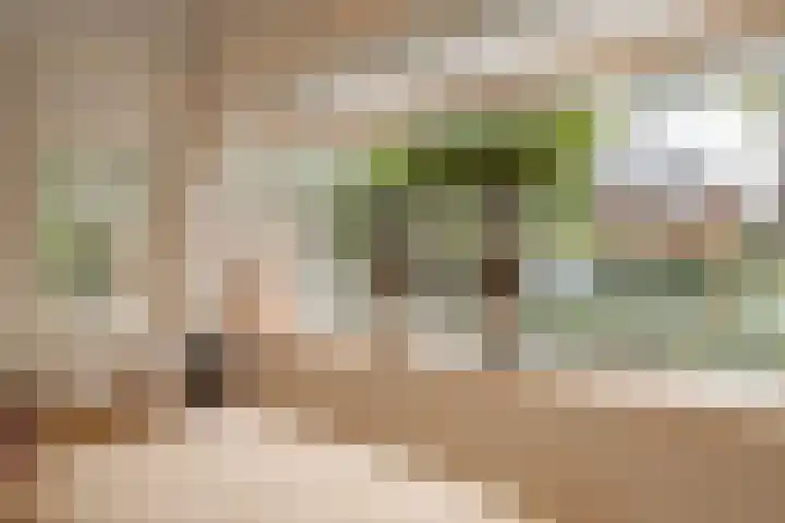 Lothariuslaan 58 Bussum thumbnail 8