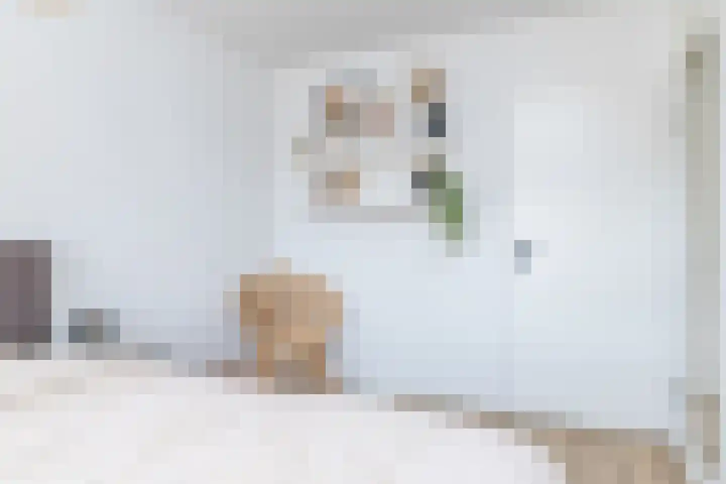Lothariusstraat 15 Sittard thumbnail 26